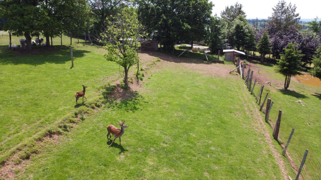 Brochepierre 28 Pers- Vue Exceptionnelle - Malmedy Villa ภายนอก รูปภาพ
